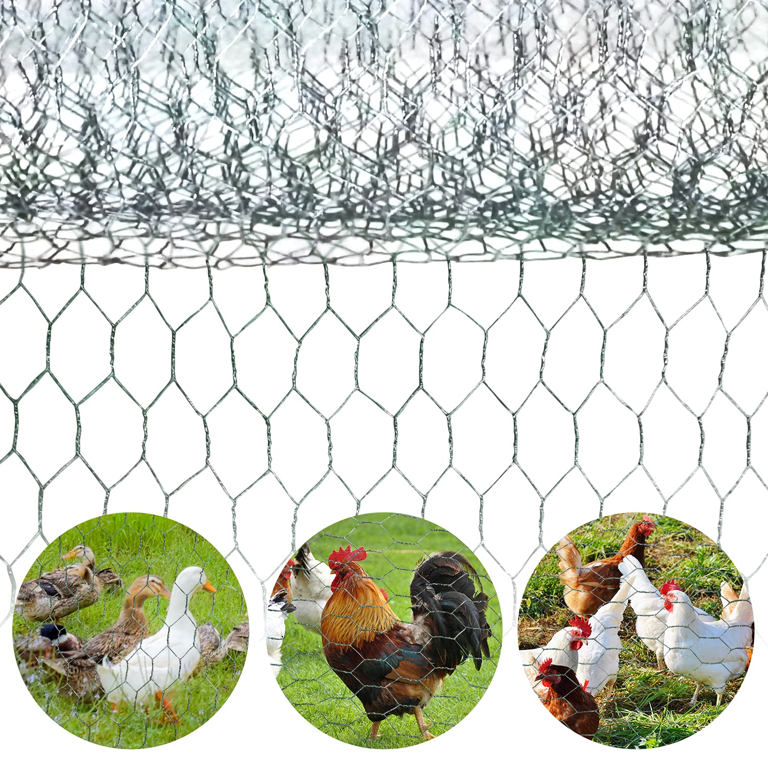 Large Walk-In Chicken Coop for 40 Chickens - 19.7×9.8×6.6ft Galvanized Steel Poultry Cage with Waterproof & UV-Resistant Cover, Spire Top Design - Perfect for Backyard Farming, Outdoor Poultry Housing & Free-Range Chicken Keeping