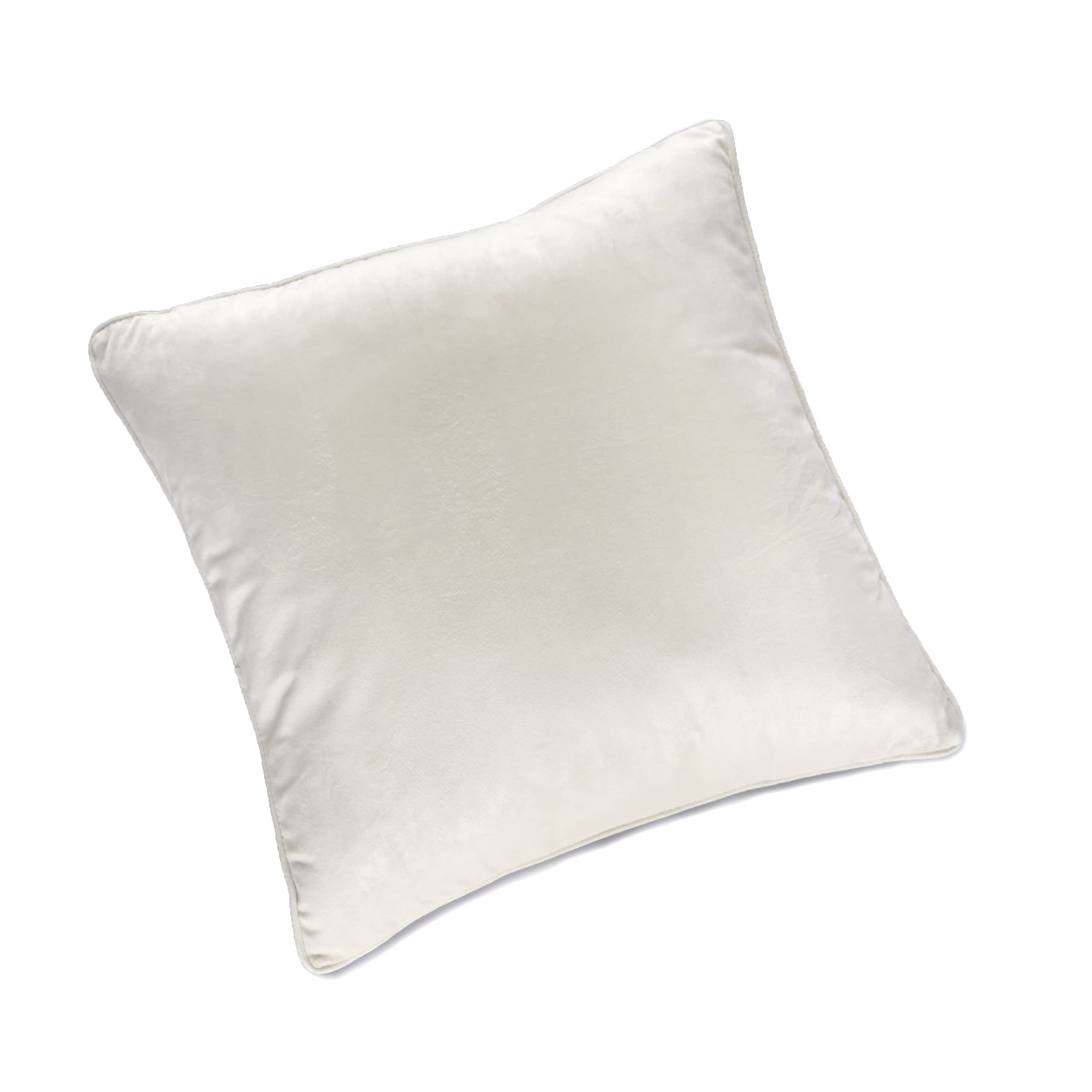 Ricardo Velvet Accent Pillow - Soft Decorative Throw Pillow for Couch, Sofa or Bed - Pearl Gray 20x20 Inch - Perfect for Living Room, Bedroom & Home Decor