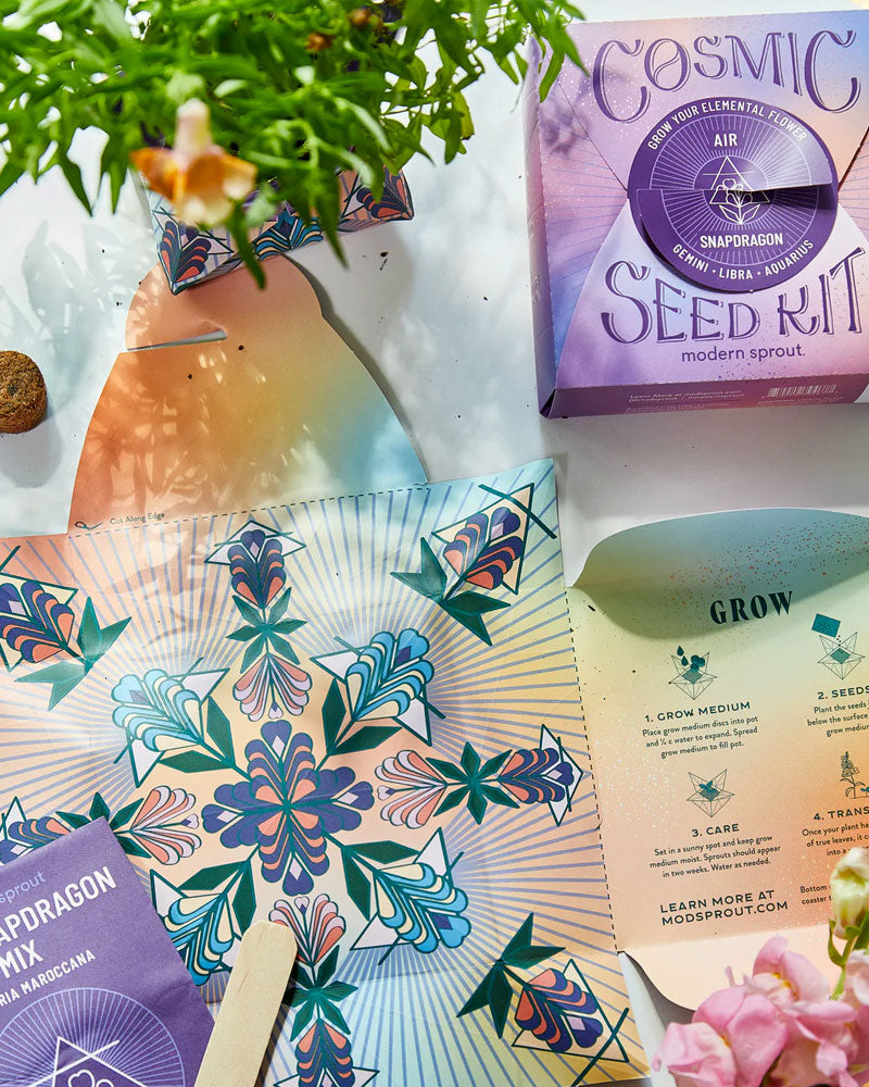 FIRE Cosmic Seed Kit for Aries, Leo, Sagittarius Zodiac Signs - Grow Your Astrological Garden | Perfect for Home Decor, Gift Giving & Spiritual Growth