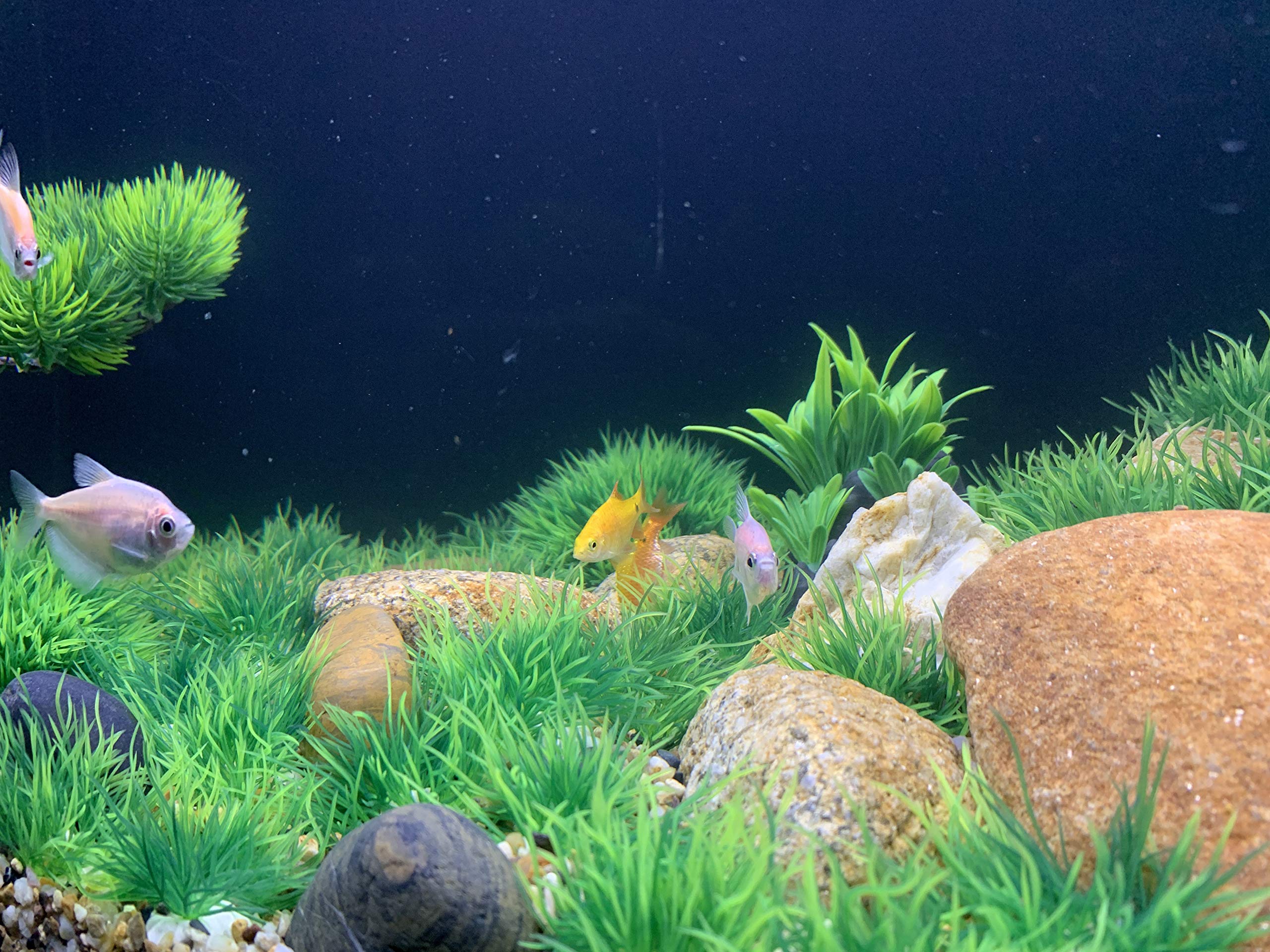 BEGONDIS 25Pcs Artificial Aquarium Plants - Safe Soft Plastic Fish Tank Decor for All Fish & Pets - Perfect for Aquatic Landscape Design