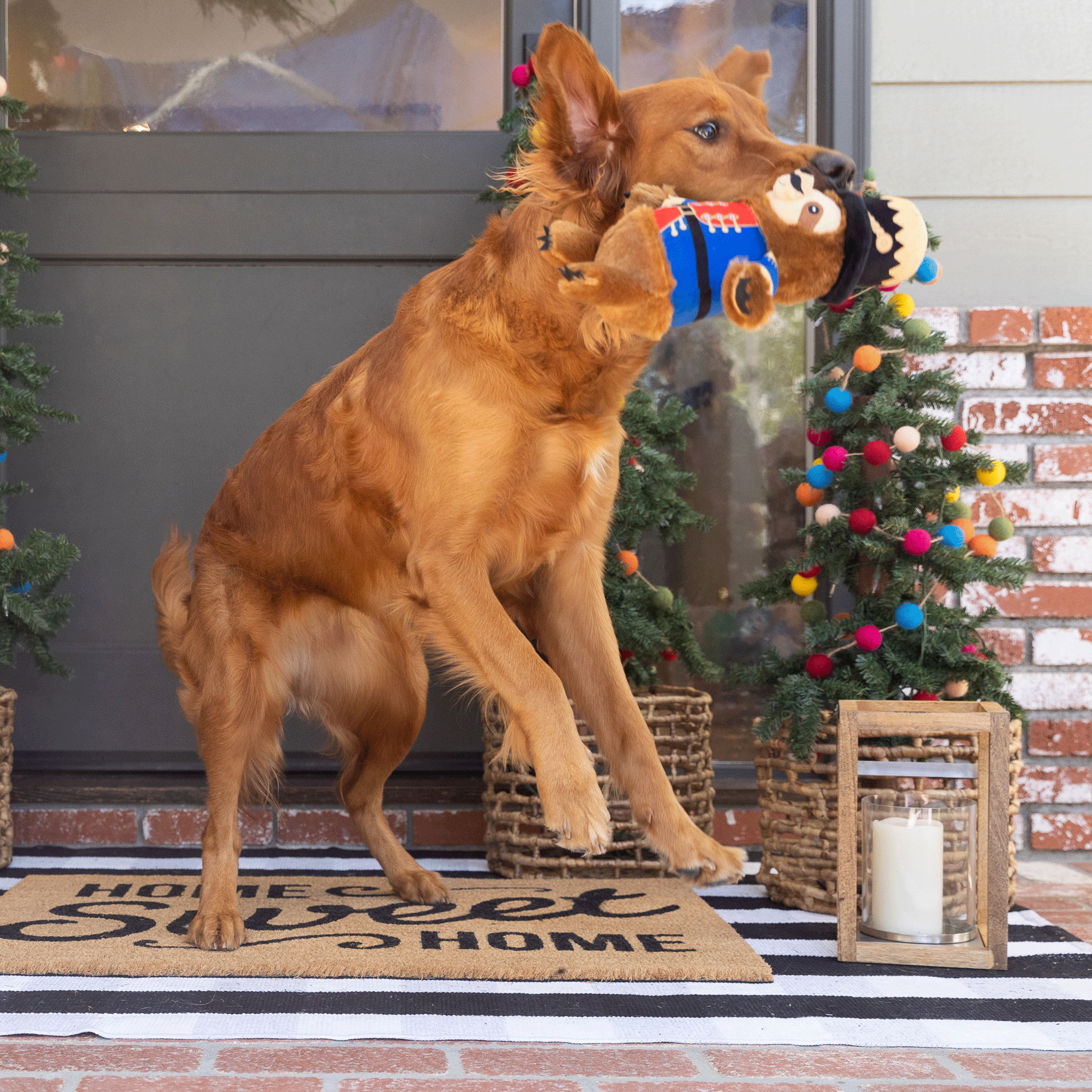 Durable Brown Fringe Dog Chew Toys for Aggressive Chewers - Tough & Long-Lasting Pet Toys for Large Dogs, Puppies - Perfect for Teething, Playtime & Stress Relief