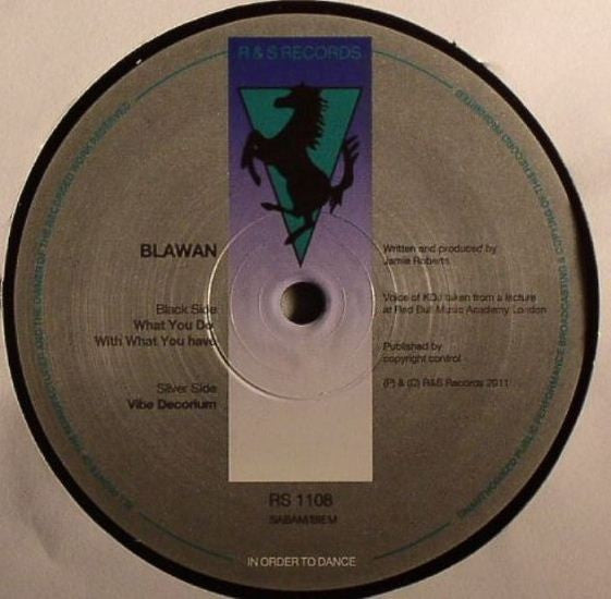 Blawan – What You Do With What You Have Vinyl Record | R&S Records RS 1108 | Perfect for DJ Sets & Electronic Music Collectors