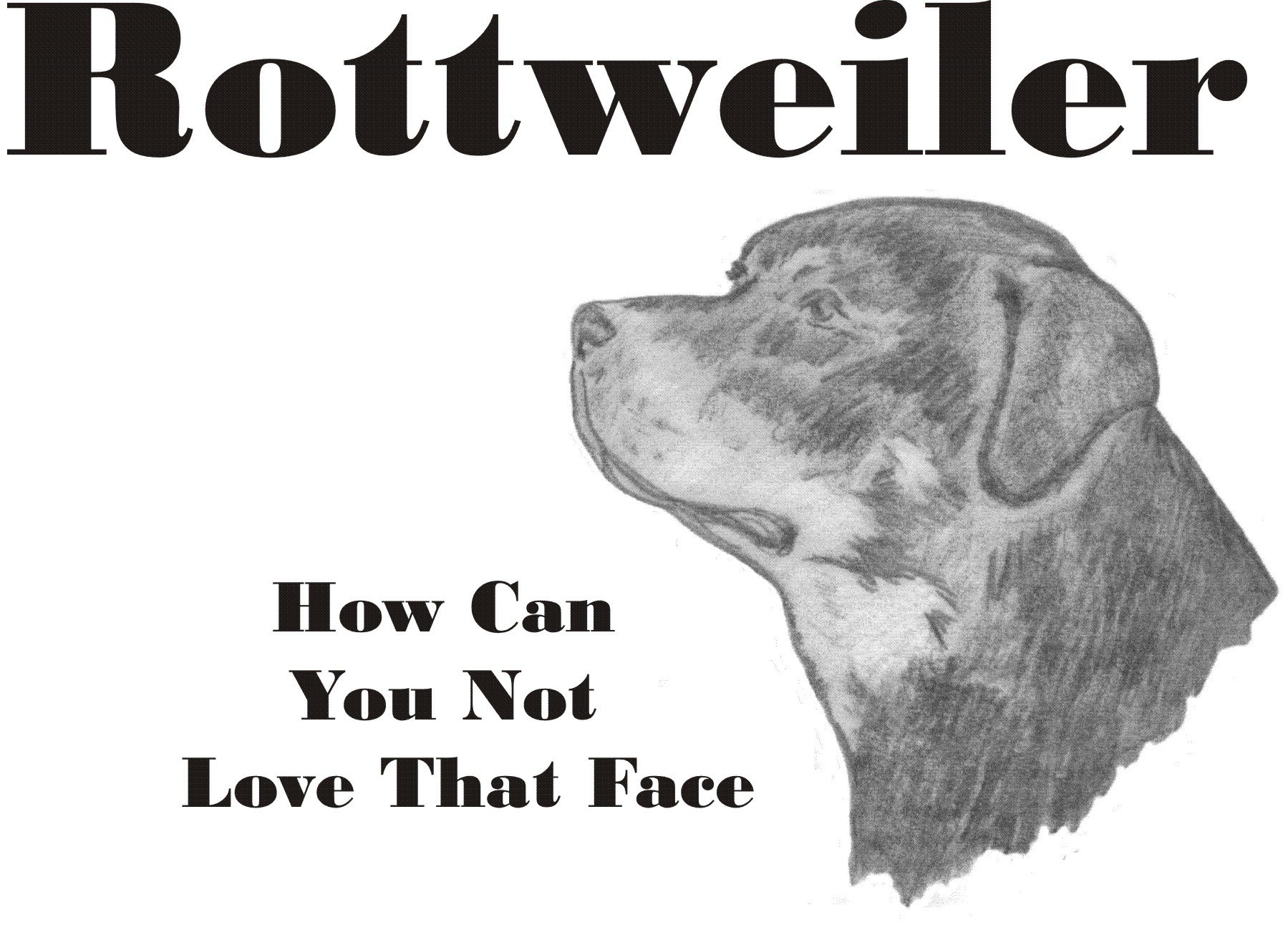 Cahoon's Closet Rottweiler Dog Lover T-Shirt - Funny Pet Owner Apparel for Rottweiler Fans - Perfect Gift for Dog Lovers & Casual Wear