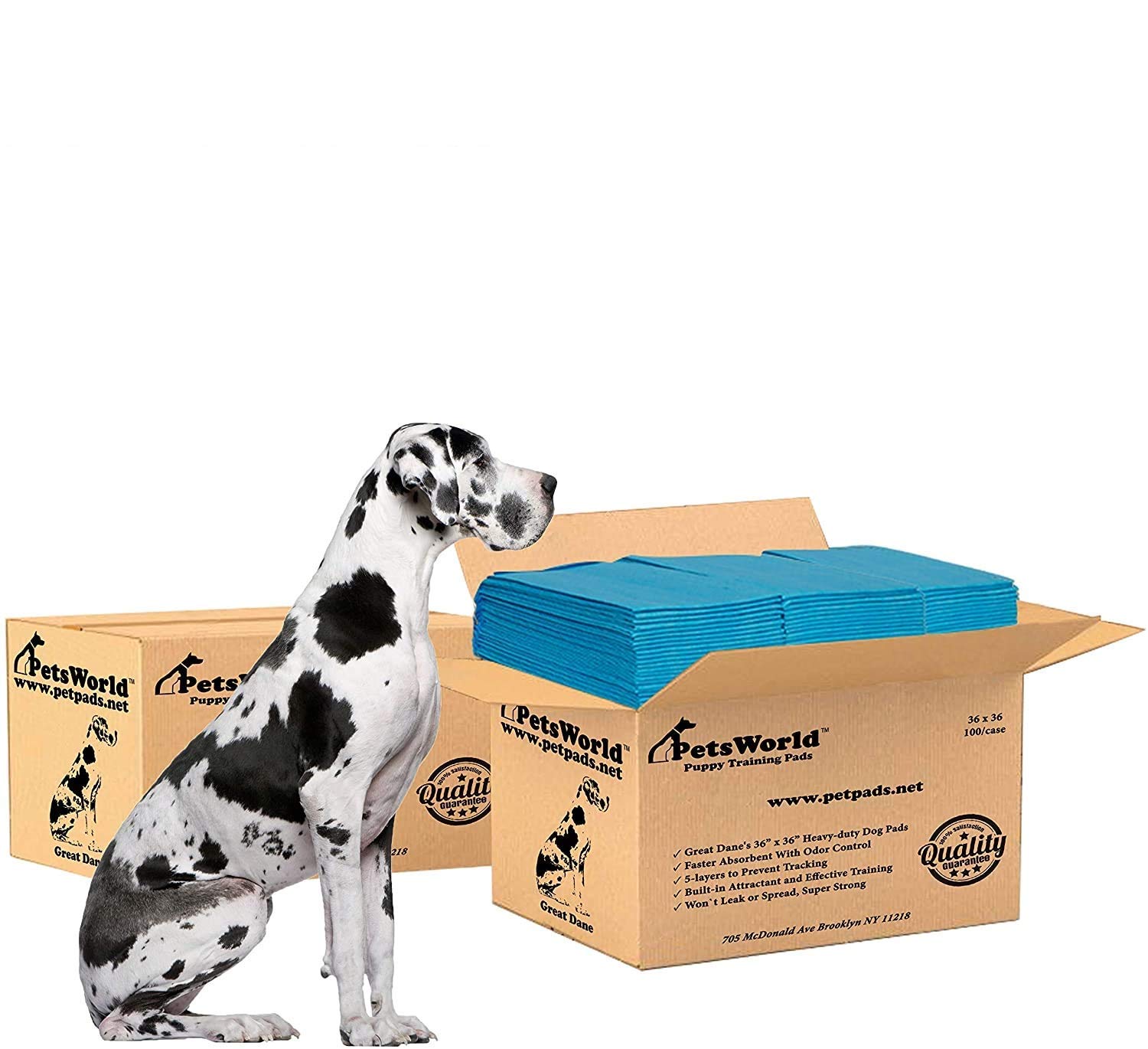 PETSWORLD Extra Large 36