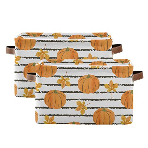 Autumn Pumpkins