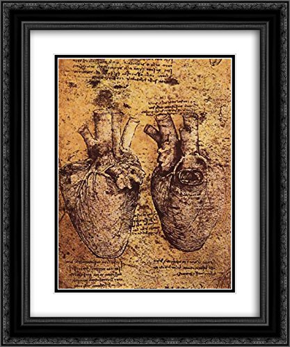 Leonardo da Vinci Heart Anatomy Drawing - 20x24 Black Ornate Framed Museum Art Print with Double Mat | Vintage Medical Illustration for Home Decor, Doctor's Office & Art Classrooms