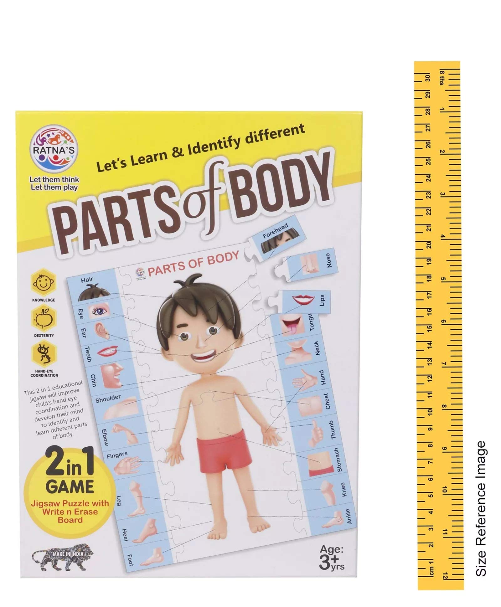 RATNA's 2-in-1 Educational Body Parts Jigsaw Puzzle for Kids with Write & Wipe Board - Learn Human Anatomy Through Play | Perfect for Homeschooling & Preschool Learning Activities