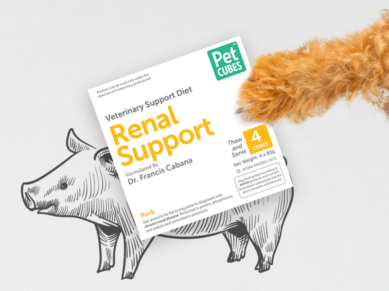 Renal Support Cat Food Cubes - Low Phosphorus Kidney Care for Cats (320g x 12 Trays) | Vet-Recommended Wet Food for Senior Cats with Kidney Issues - Perfect for Mealtime & Health Management