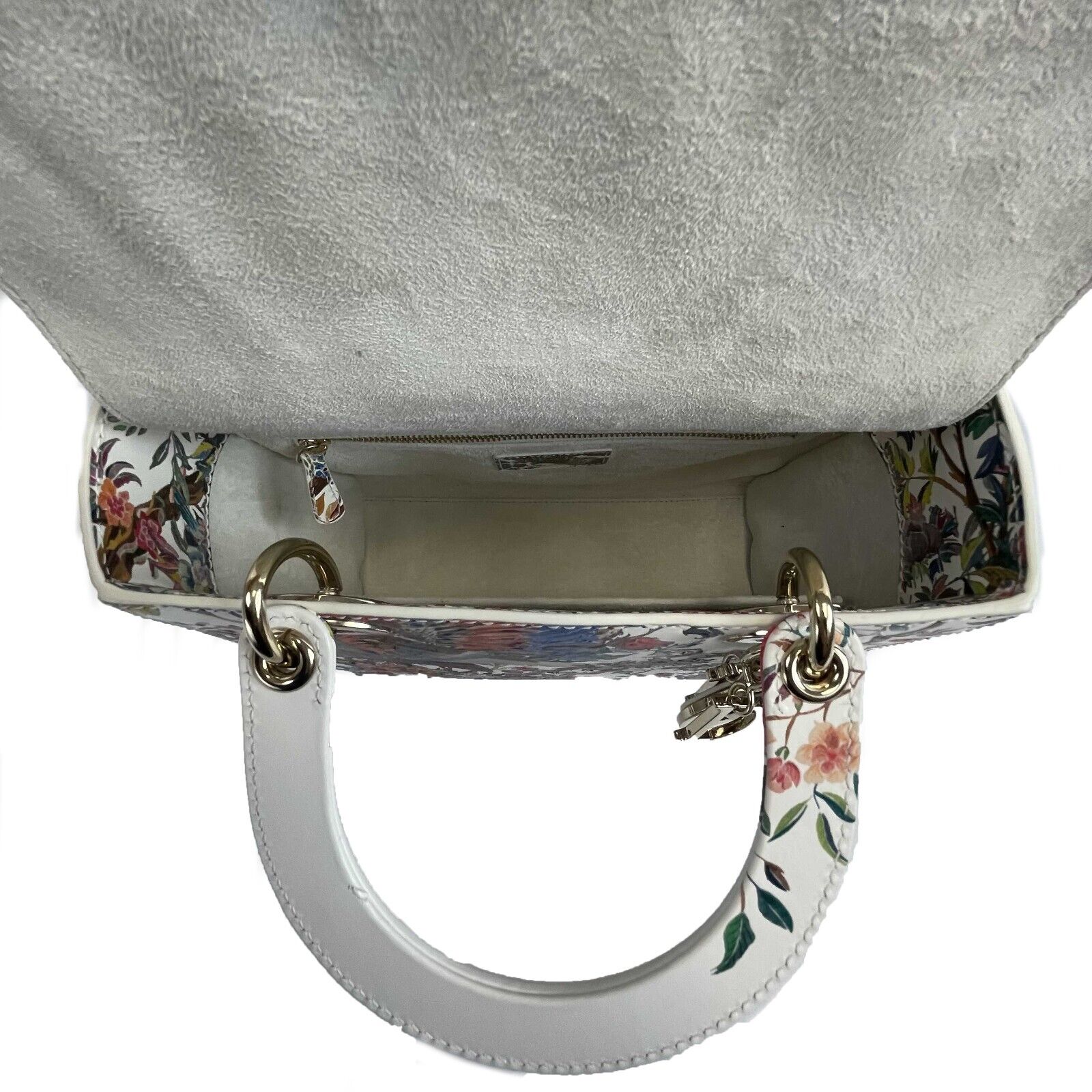 Dior Medium Lady Dior Handbag - Jardin D'Hiver Hand-Painted Leather Top Handle Bag with Adjustable Strap | Luxury Designer Purse for Women, Perfect for Parties, Weddings & Special Occasions