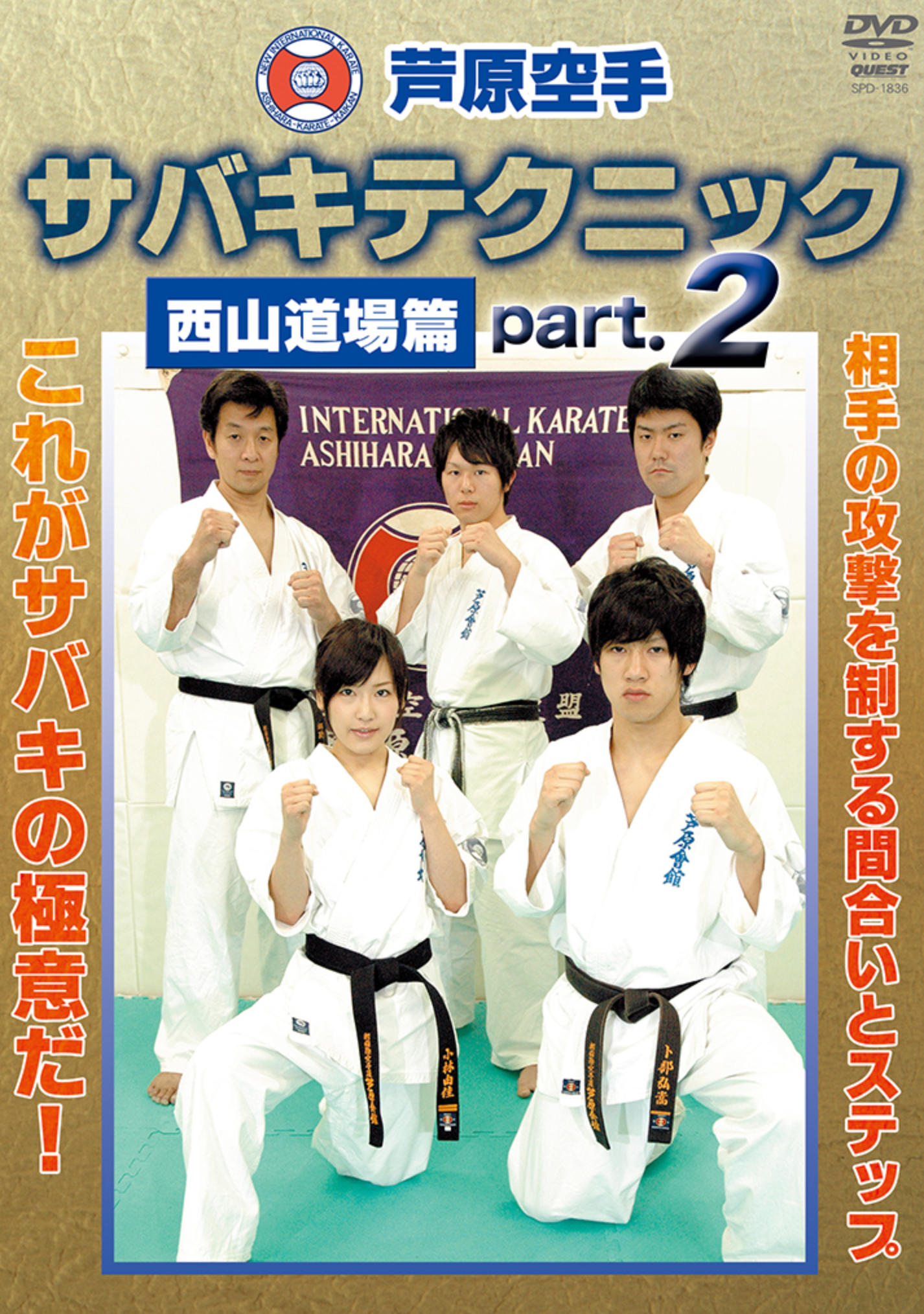 Ashihara Kaikan Sabaki Technique Vol 2 DVD by Toru Nishiyama - Authentic Karate Training for Self-Defense & Competition | Learn Advanced Martial Arts Moves at Home