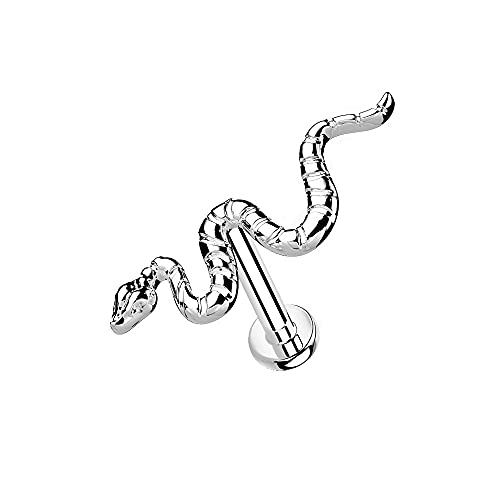 Silver Tone
