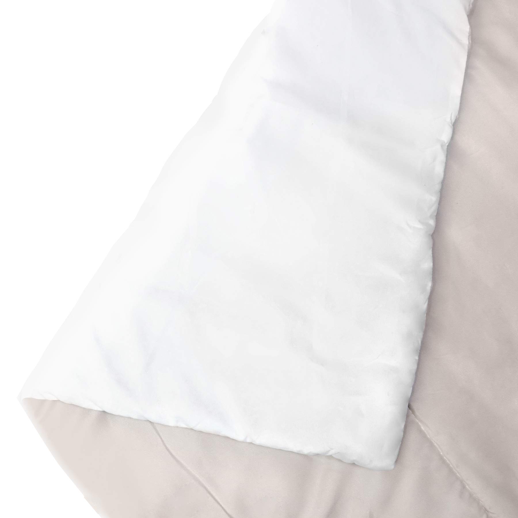 Anita Bella Jantz Black Palm Leaves Dream 1 Comforter Set with Pillowcases - Queen/Full Size Tropical Botanical Bedding - Perfect for Beach House, Boho Bedroom & Guest Room Decor