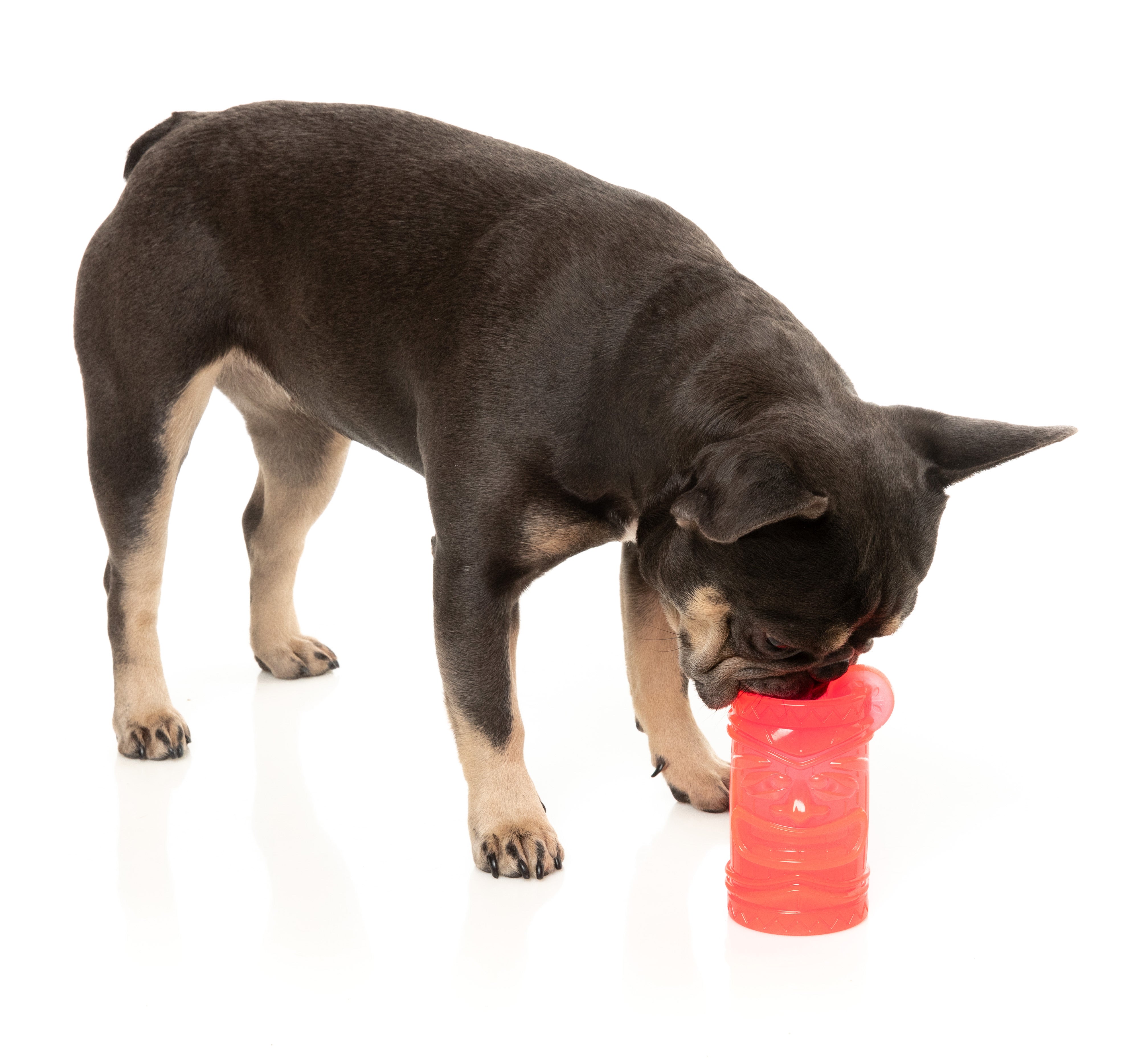 Fuzzyard Interactive Dog Chew Toy with Treat Dispenser - Pina Coolada Freeze Flavor | Durable Chewing Toy for Puppies & Adult Dogs | Perfect for Training, Boredom Relief & Dental Health