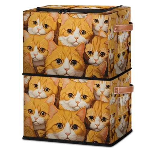 Cat Animals Pattern