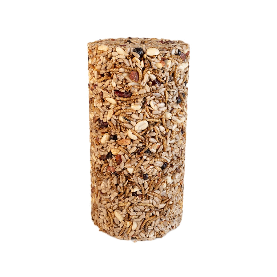 Premium Wild Bird Food - Nuts & Bugs Seed Cylinder for Small Birds | Attract Finches, Chickadees & Woodpeckers to Your Backyard Feeder