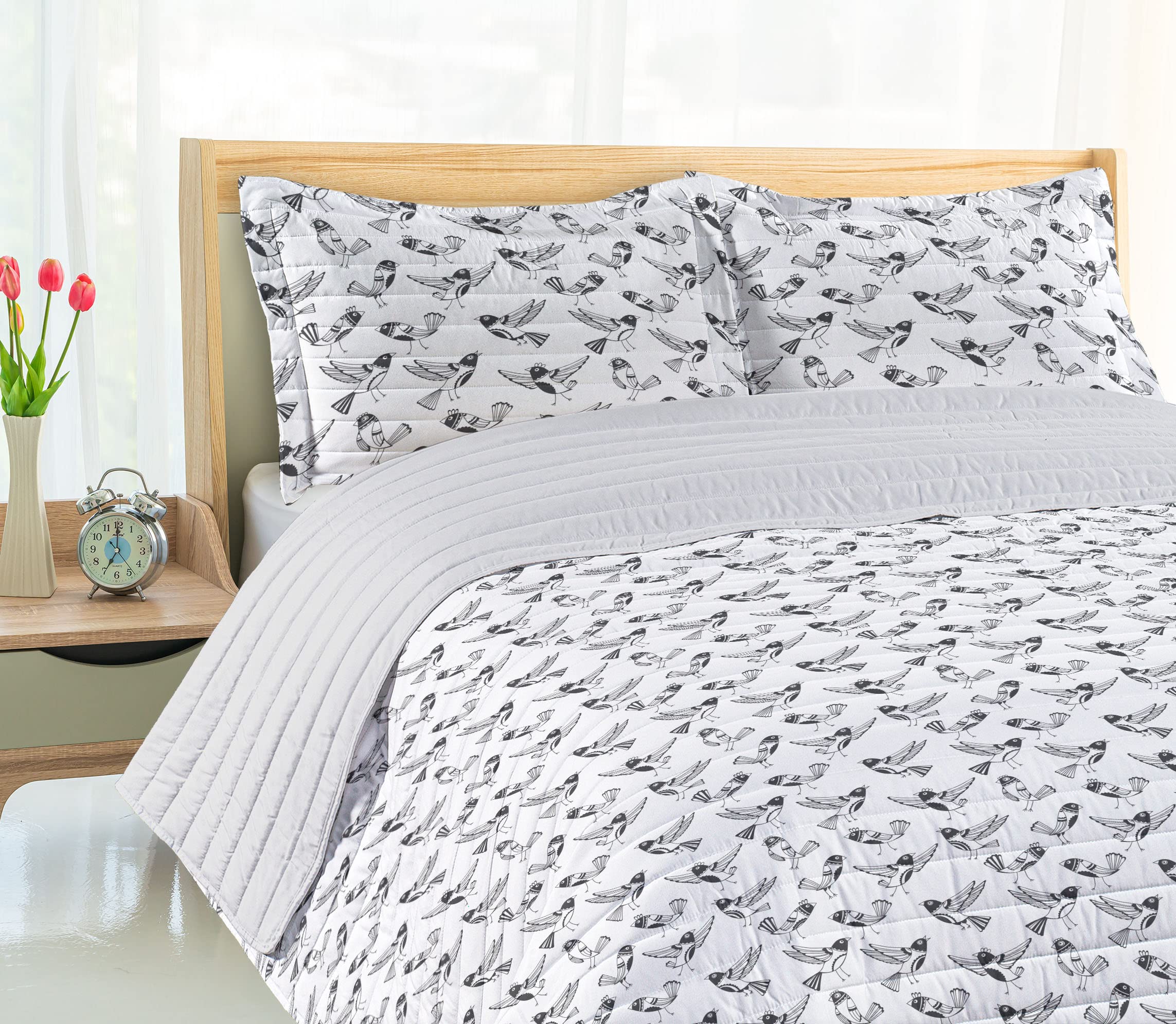 Ambesonne Black and White Microfiber Bedspread Set - Doodle Style Sketch Cartoon Birds with Funny Expressions, Soft King Size Bedding with Pillow Shams & Comforter | Modern Bedroom Decor for Teens & Adults