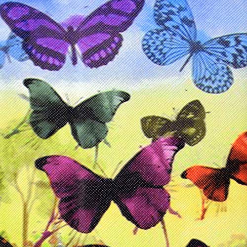 05 Butterflies