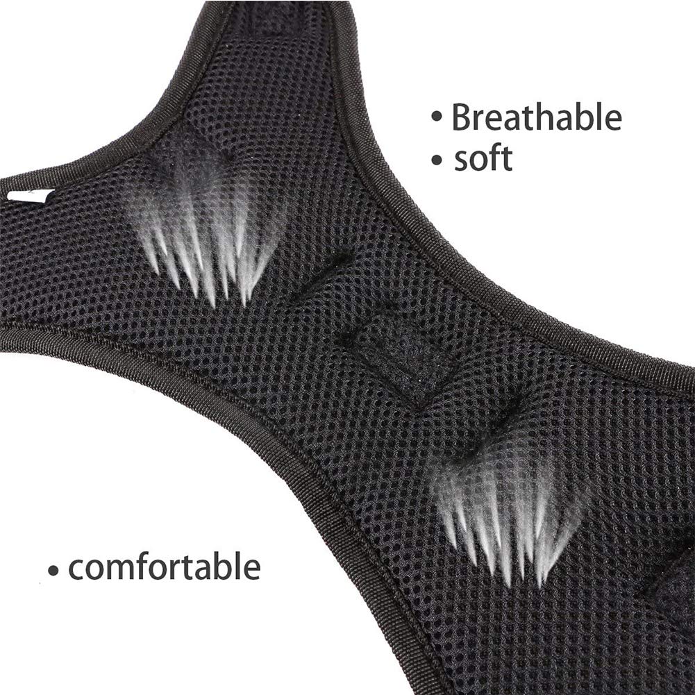 Best No Pull Dog Harness with Handle - Adjustable, Breathable Pet Vest for Small, Medium & Large Dogs - Perfect for Walking, Training & Outdoor Adventures (Includes Free Dog Leash)