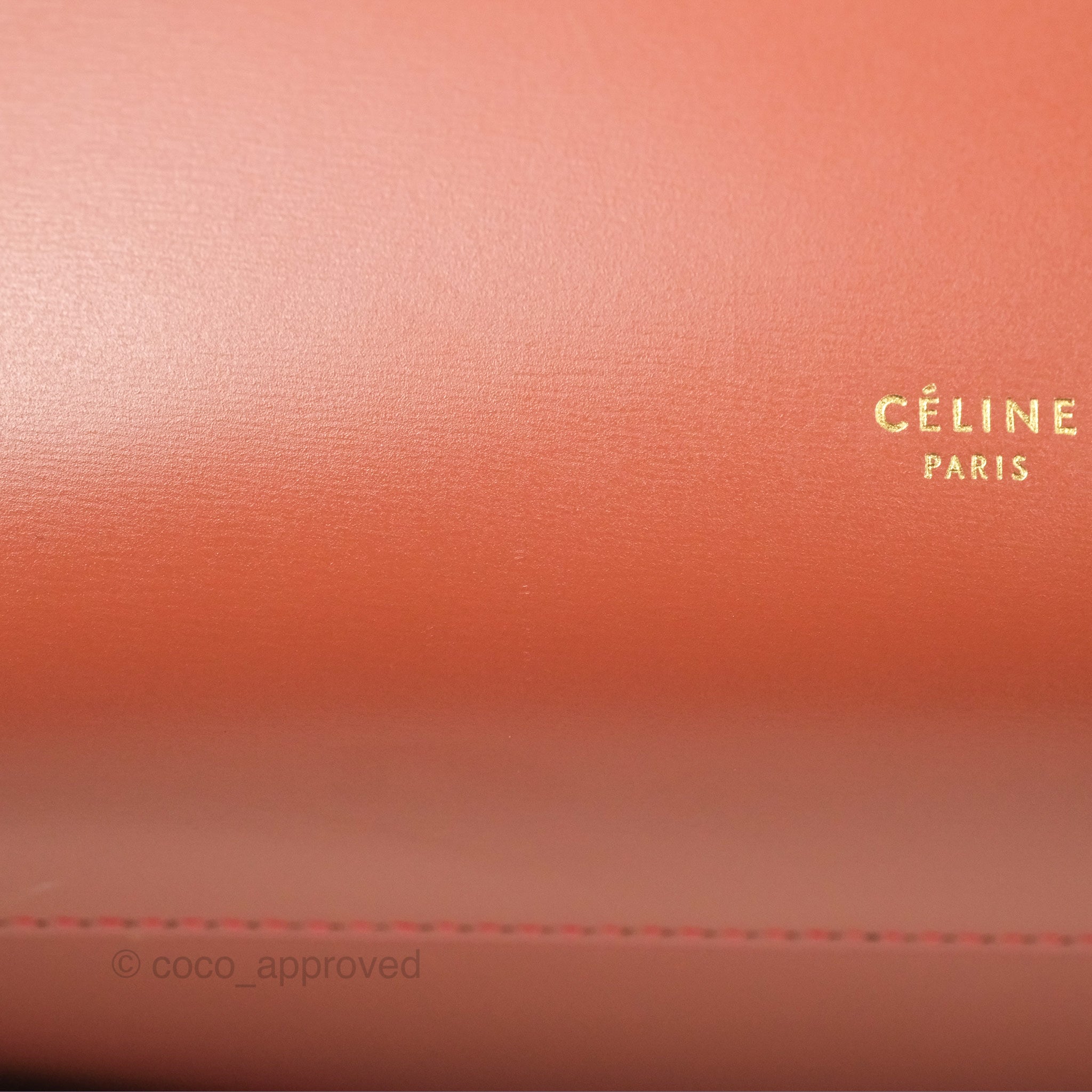 Celine Micro Belt Bag in Terracotta | Smooth Leather with Gold Hardware | Perfect for Work, Travel & Everyday Use