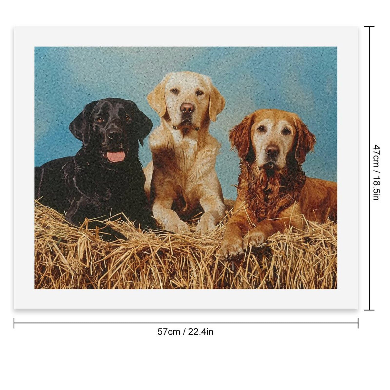 Labrador Retriever Paint by Numbers Kit for Adults - DIY Oil Painting on 22x18 Inch Canvas - Fun Dog Art for Home Decor & Gift Ideas - Perfect for Relaxation & Wall Art in Living Room, Bedroom