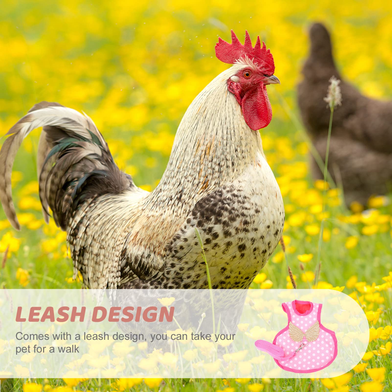 **iPetBoom Adjustable Chicken Harness & Vest - Soft Polyester Pet Chicken Clothing with Comfortable Belt - Perfect for Backyard Free-Range, Training & Outdoor Adventures**