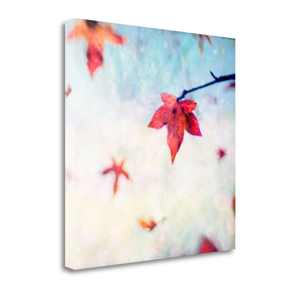 All Fall Down by Dawn D. Hanna - Premium Giclee Art Print on Gallery Wrapped Canvas - Ready to Hang Wall Decor - Perfect for Living Room, Bedroom & Office Decor
