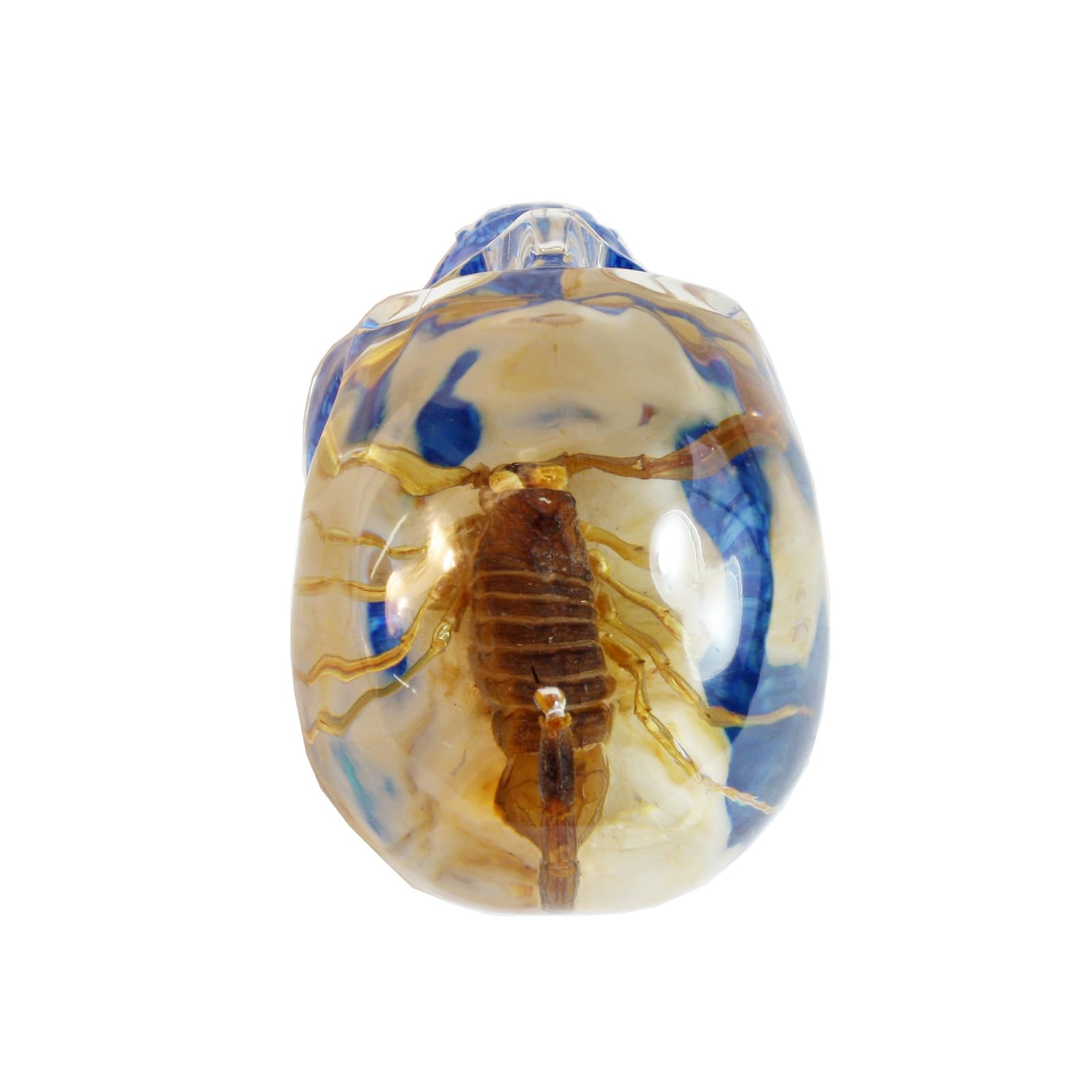 REALBUG 3