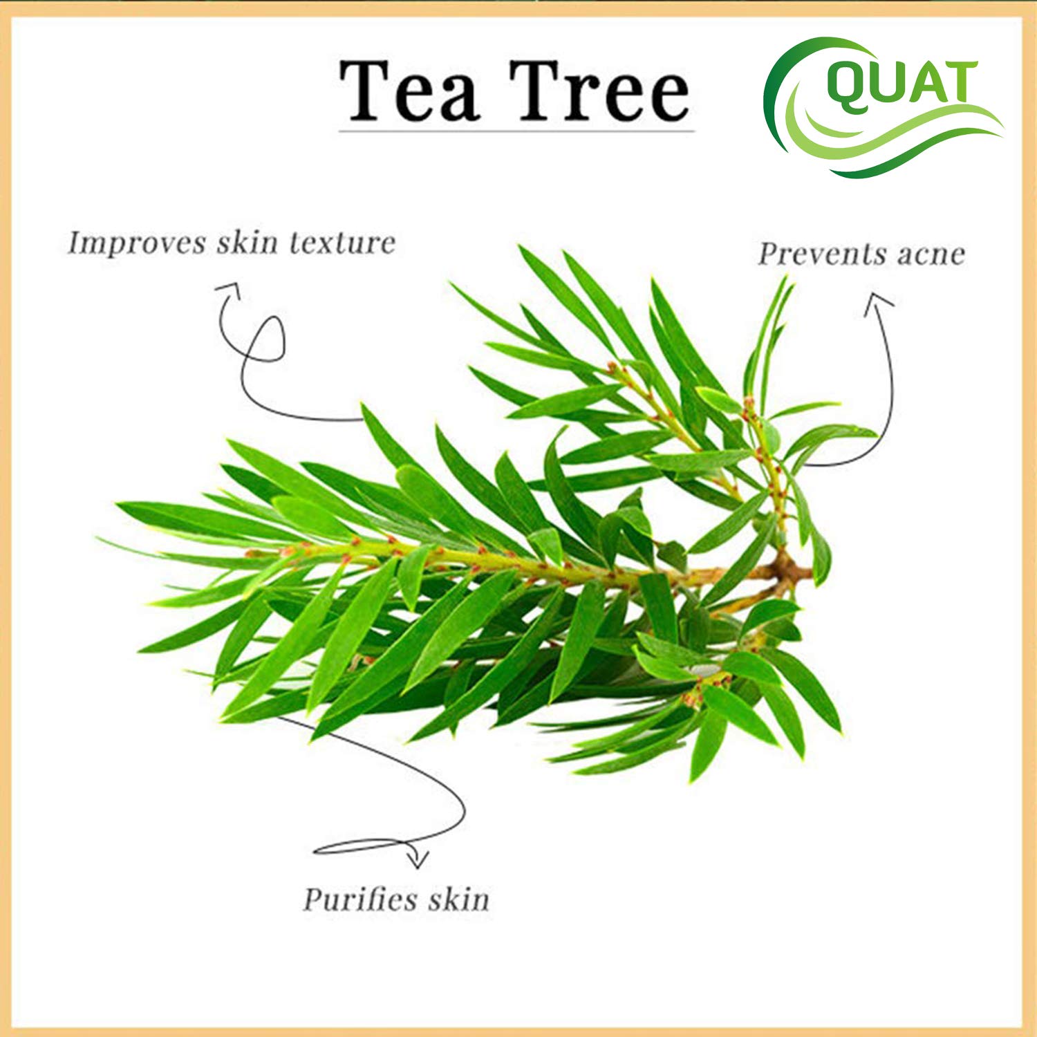 Quat Tea Tree Face Gel for Acne & Scar Treatment - 100g Anti-Blemish Gel for Glowing Skin, Oily Skin Care - Women & Men | Daily Skincare Routine, Post-Workout Face Care, Travel Essential