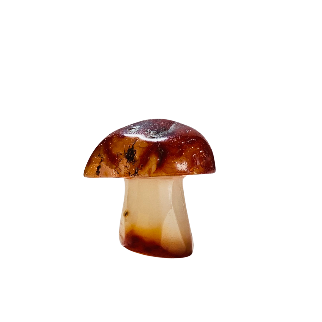 Natural Carnelian Mushroom Pendant Necklace - Healing Crystal Jewelry for Women & Men - Spiritual Protection & Positive Energy - Perfect for Meditation, Yoga & Everyday Wear