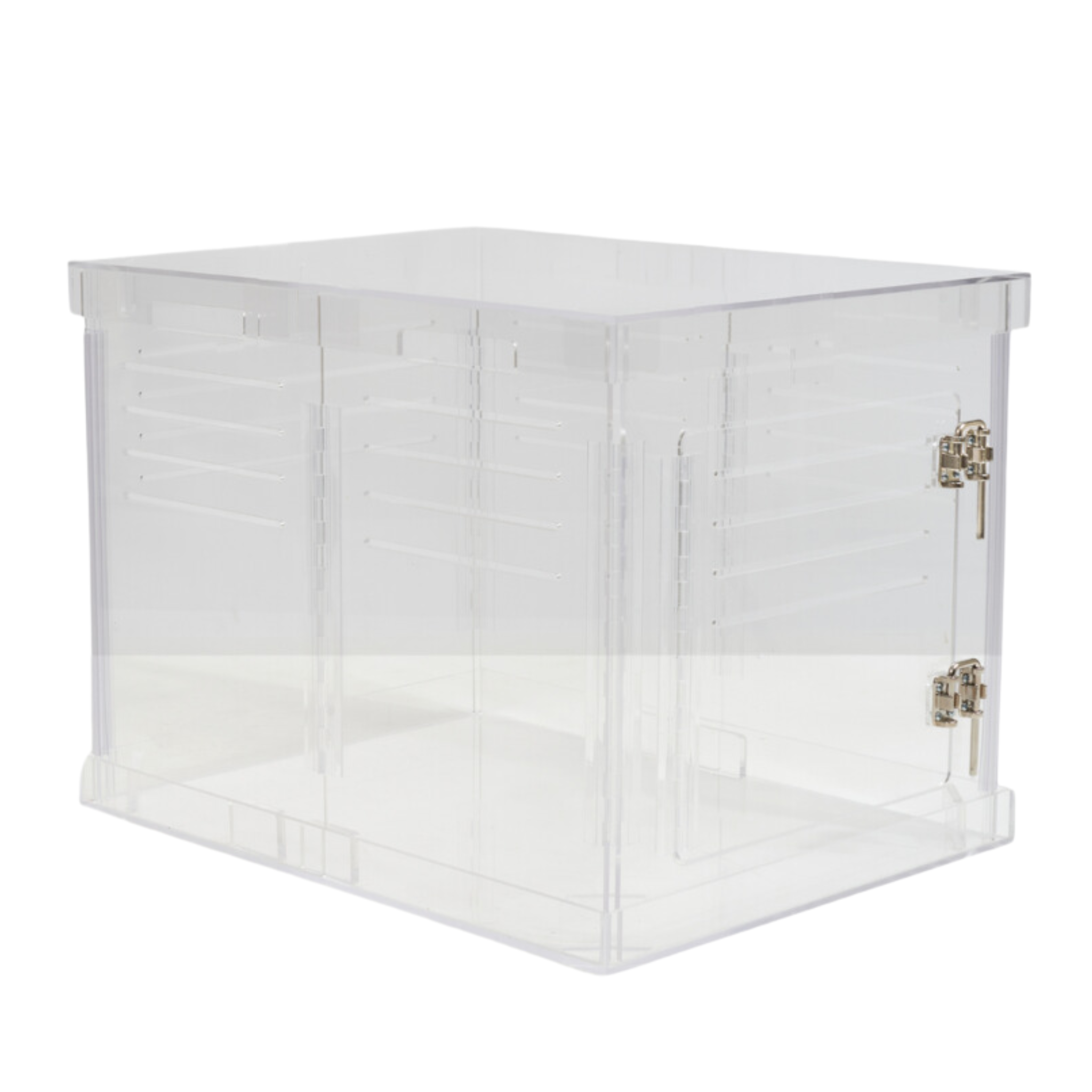 Clear Plastic Dog Crate with Removable Gate - Portable Pet Carrier for Small to Medium Dogs - Perfect for Travel, Training & Home Use