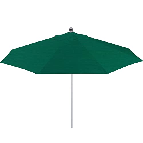 Sunbrella- Forest Green