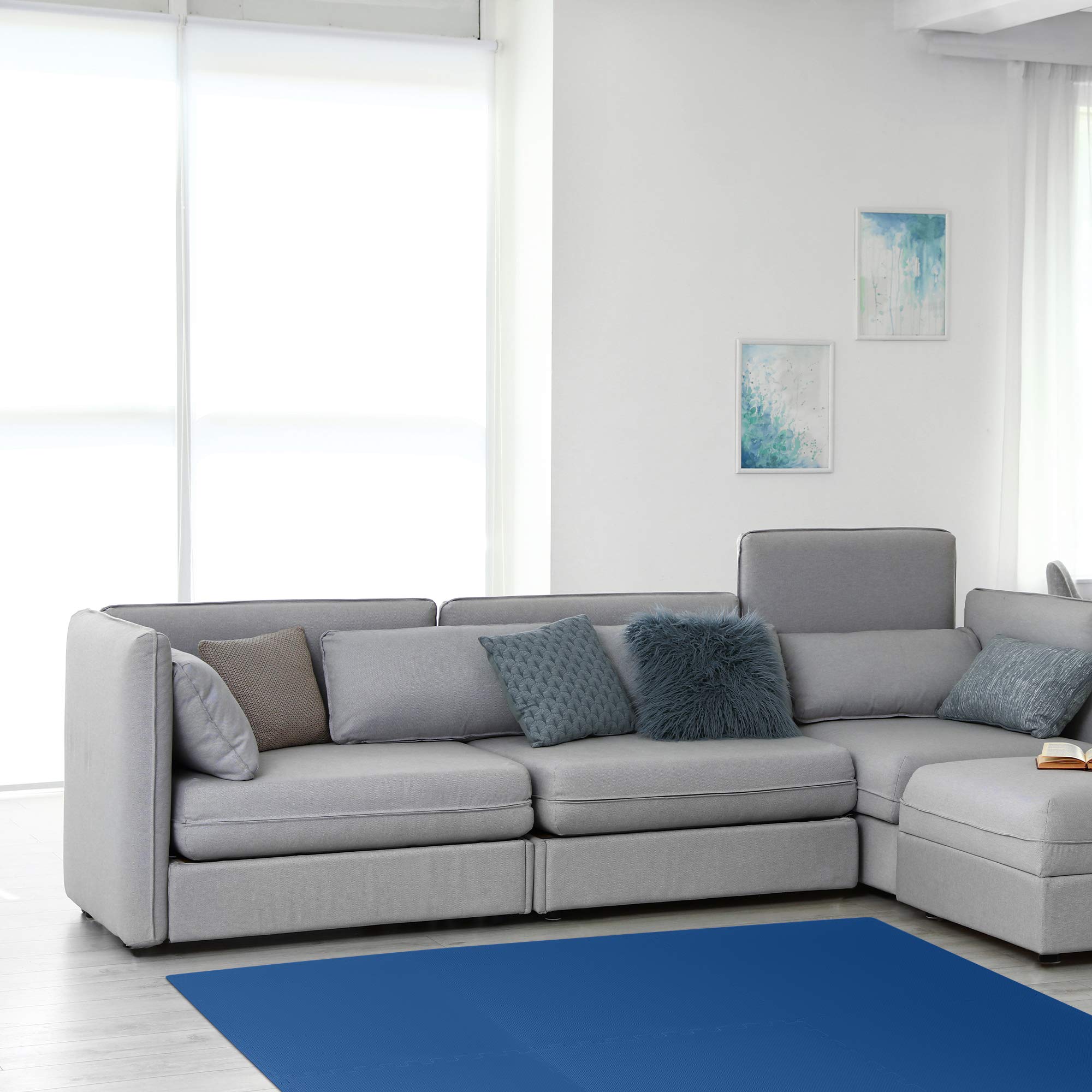3/8 Inch Thick High-Density Exercise Floor Mat - Non-Slip Gym Mat for Home Workouts, Yoga & Fitness - Perfect for Home Gym, Garage & Studio Use