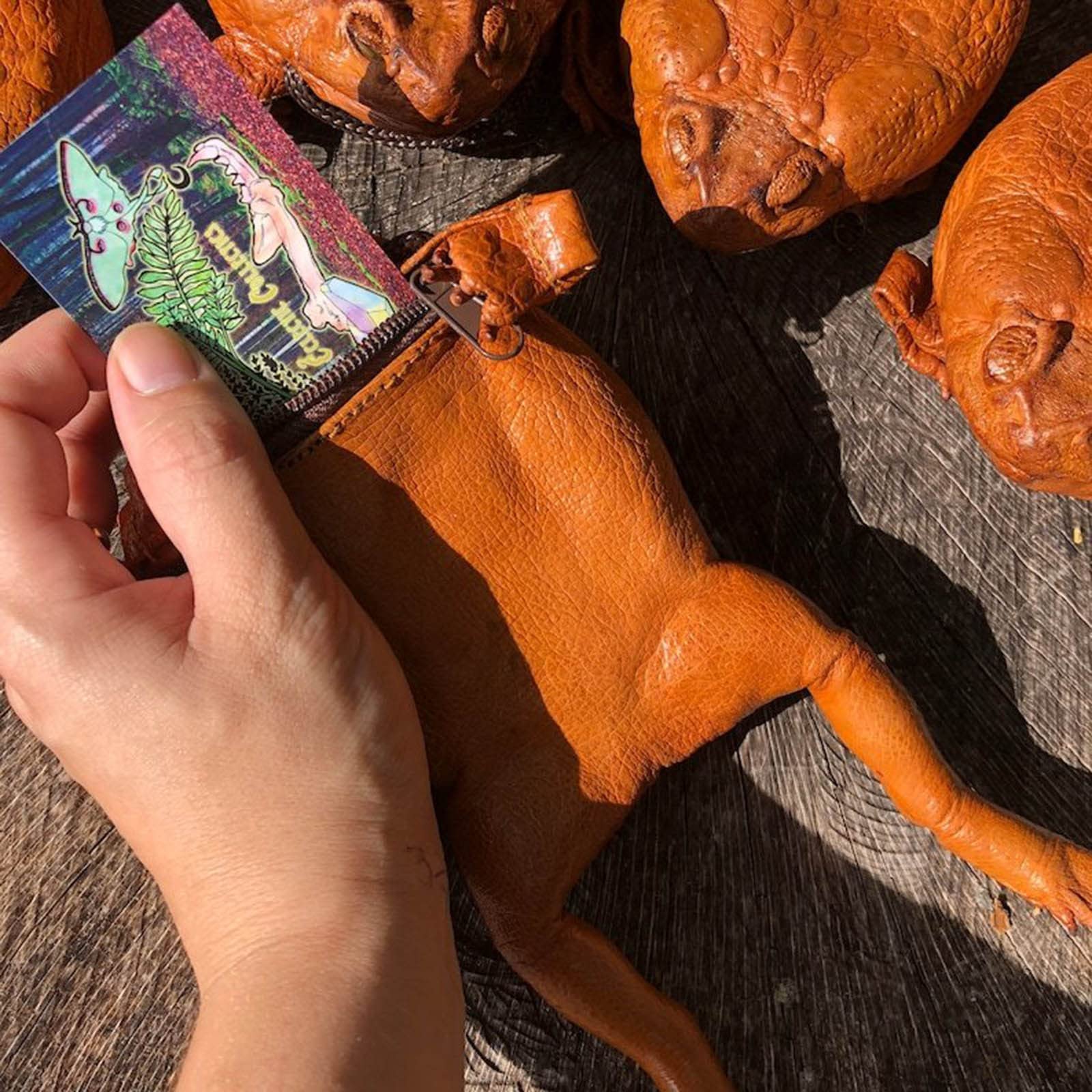 Funny Sugar Cane Toad Full-Body Purse - Frog Coin Wallet & Home Decor - Unique Gift for Animal Lovers - Perfect for Halloween, Cosplay & Novelty Storage (One Size)