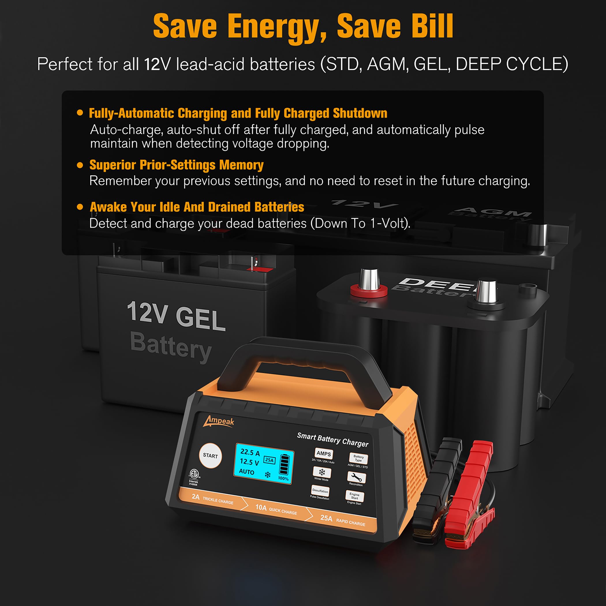Ampeak 12V 25A Fully Automatic Car Battery Charger with Winter Mode & Auto Desulfator - Smart Charger for All Lead-Acid Batteries (Cars, Trucks, SUVs, Motorcycles, Boats) - Ideal for Cold Weather & Battery Maintenance