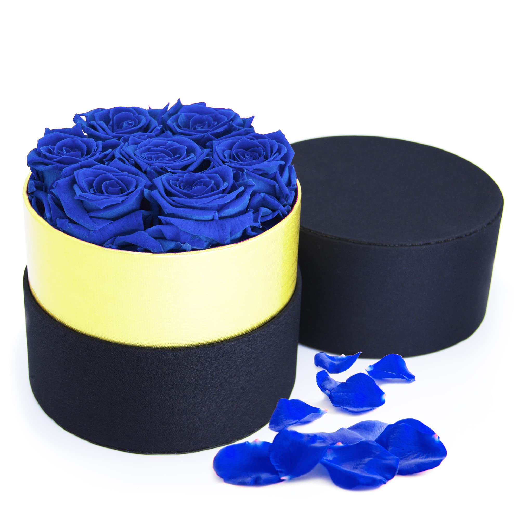 Handmade Blue Preserved Roses in Gift Box - Real Long Lasting Roses That Last 2-3 Years | Perfect Valentine's Day, Birthday, Anniversary & Christmas Gifts for Her, Wife & Loved Ones | Romantic Home Decor, Wedding Centerpiece & Office Desk Decoration
