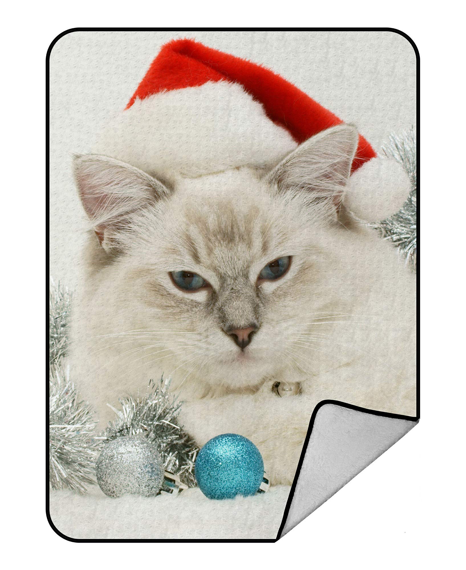 Soft Christmas Ragdoll Cat Fleece Blanket - 58x80 Inch Plush Throw for Couch, Bed & Gifts - Cozy Holiday Decor & Winter Warmth