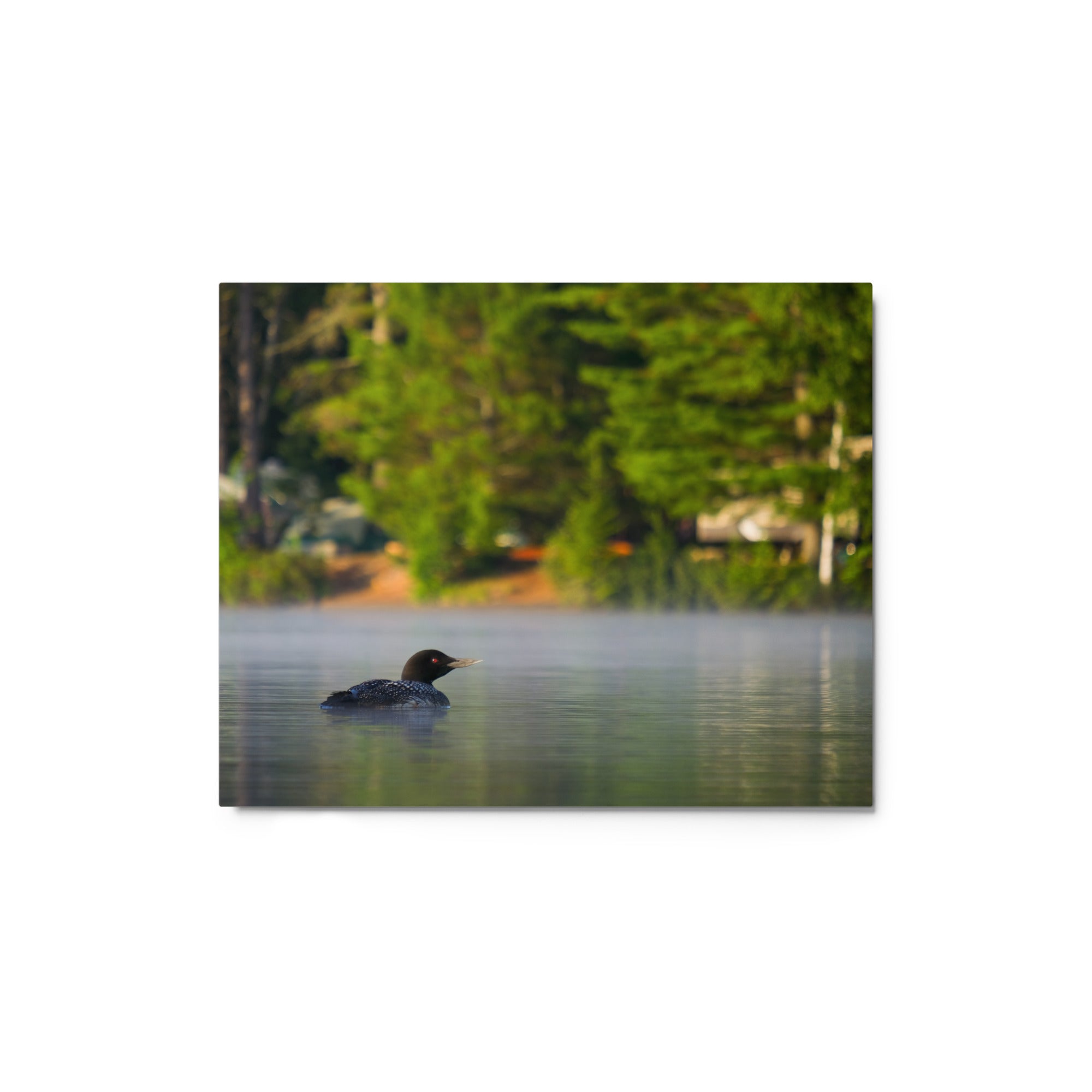 Adirondack Loon Metal Print - Premium Wall Art Decor for Home, Office & Cabin - Perfect for Nature Lovers & Rustic Interiors