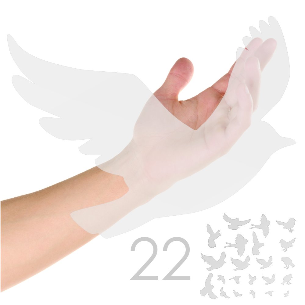 Anti-Collision Window Stickers for Birds - 22pc Bird Silhouette Decals with Spray & Squeegee Kit - Frosted Translucent Design to Prevent Bird Strikes - Perfect for Home Windows, Office Buildings & Glass Balconies