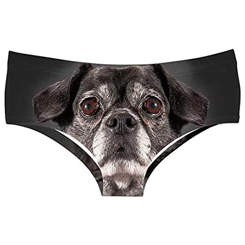 Cute Dog
