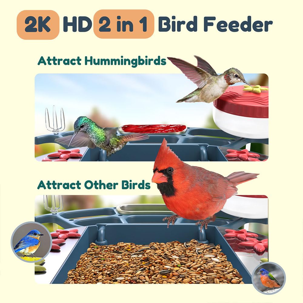 Smart Solar Powered Bird Feeder with 2K Camera - AI Bird Species Identification, Instant Alerts & DIY Add-ons - 2-in-1 Hummingbird Feeder Camera - Perfect Gift for Bird Watchers - Ideal for Backyard Birdwatching & Nature Observation