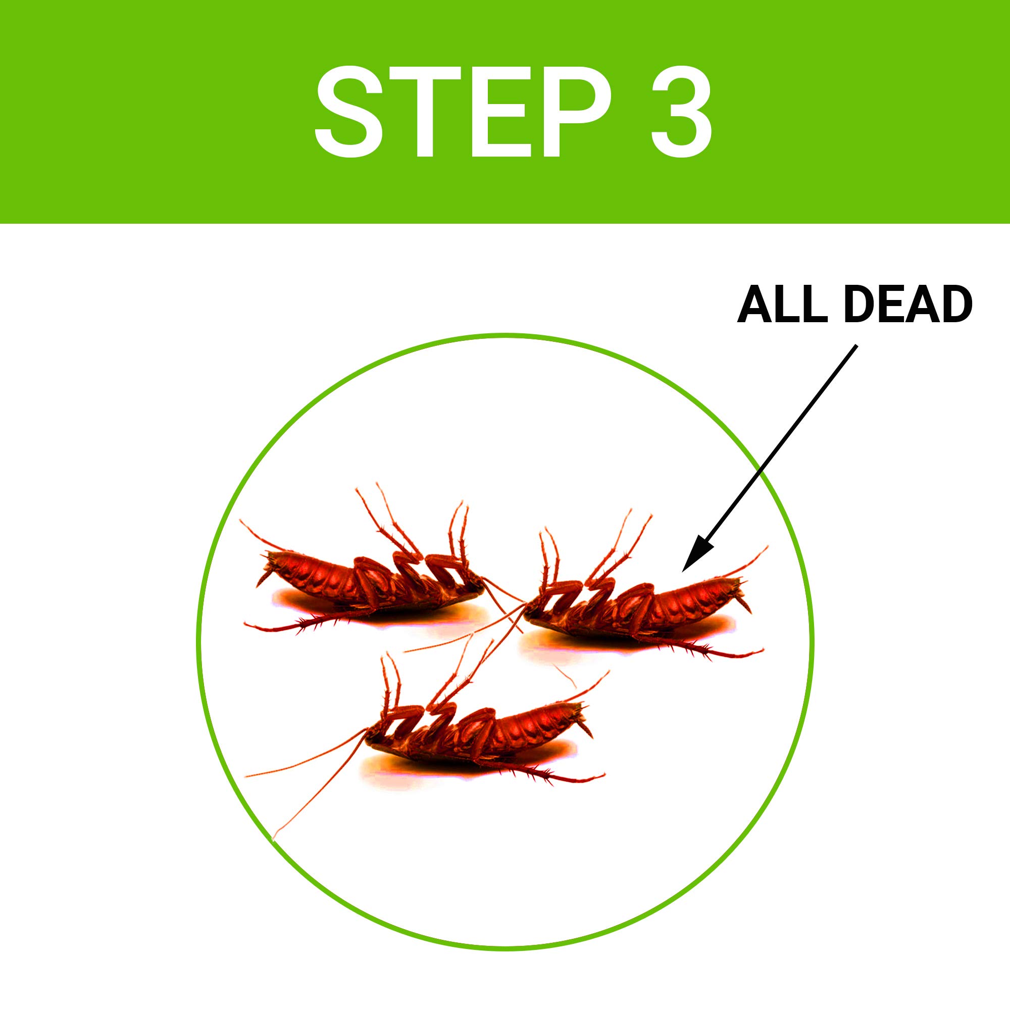 Anti Cockroach Gel Bait with Neem Extract (40g) - Powerful Roach Killer for Home & Kitchen - Easy-to-Use Injection Formula for Effective Pest Control | Ideal for Apartments, Restaurants & Food Storage Areas