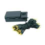 BAT50 LED Battery Operated Christmas Mini Lights - 50 Green Wire Fairy Lights (17 Feet) for Indoor/Outdoor Holiday Decorations, Parties, Weddings & Home Ambiance