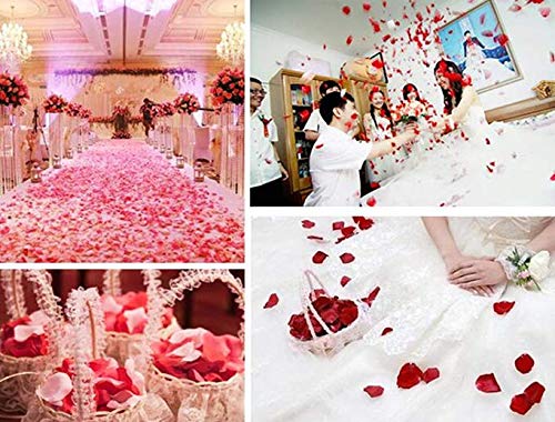100% Natural Dried Rose Petals (100g/Bag) - Real Red Rose Flowers for Bath, Foot Soak, Wedding Decorations, DIY Crafts, Aromatherapy & Home Fragrance Sachets | Perfect for Spa Days, Romantic Events & Handmade Gift Making