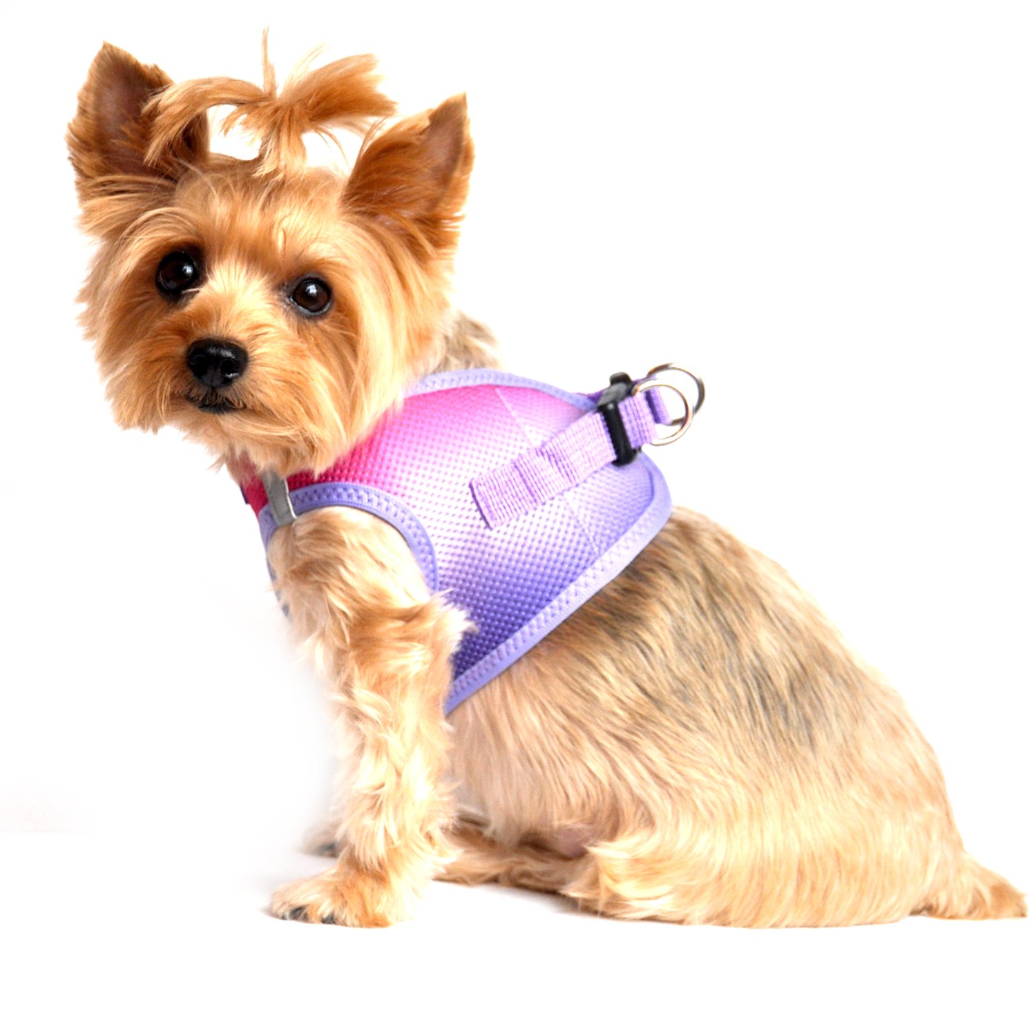 Doggie Design No-Choke Dog Harness - Breathable Mesh Polyester Pet Vest with Easy Step-in Design for Small Dogs (Raspberry Sundae, XS) - Perfect for Walking, Training & Outdoor Adventures