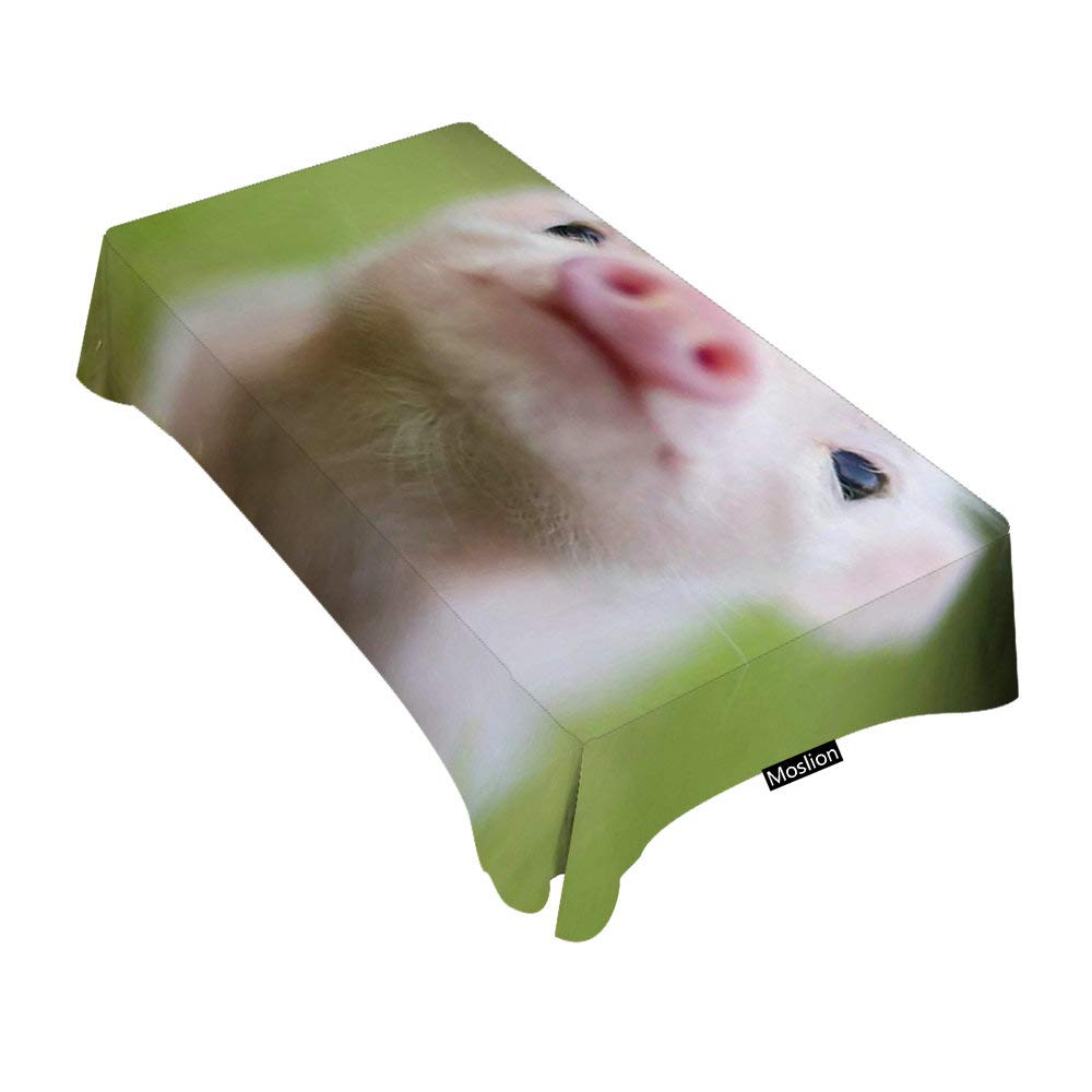 Moslion Decorative Rectangle Tablecloth - Cute Pet Pig Design, 60x84 Inches Waterproof Table Cover for Dining, BBQ, Picnic, Coffee Table - Perfect for Indoor & Outdoor Parties, Family Gatherings