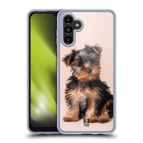 Yorkshire Terrier Puppy