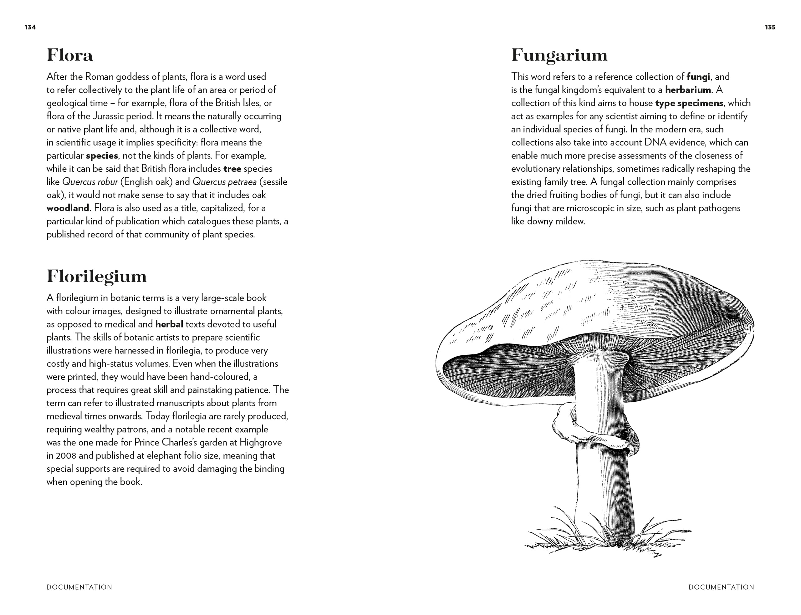 Kew - Plant Words: 250 Unique Botanical Terms for Plant Enthusiasts | Royal Botanic Gardens, Kew | Perfect for Gardeners, Botanists & Nature Lovers