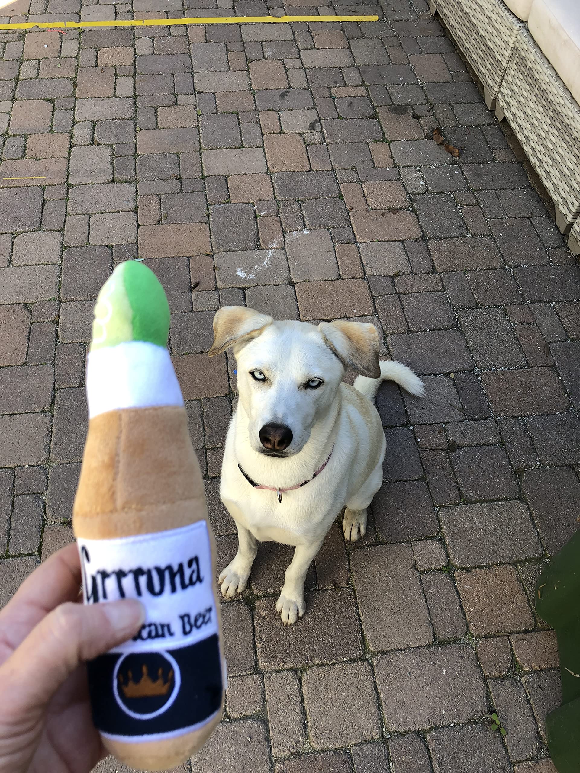 Soft Plush Beer Bottle Dog Toy - Fun Chew Toy for Small & Large Dogs, Perfect Birthday Gift & Holiday Party Favor (Grrrona) - Great for Playtime, Training Rewards & Puppy Teething Relief