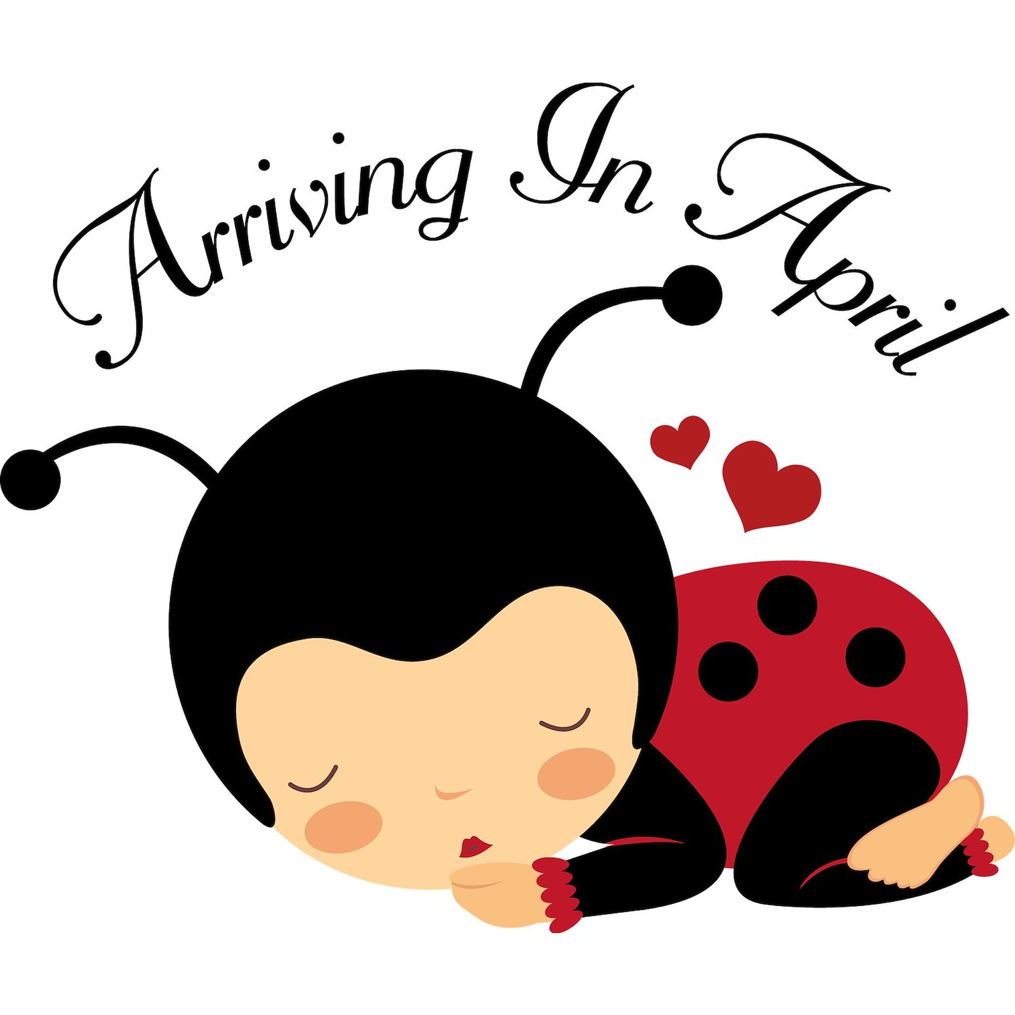 Pregnancy Maternity T-Shirt for Women - April Due Date Ladybug Design, Ruched Side for Comfort | Perfect for Baby Showers, Maternity Photos & Pregnancy Announcements