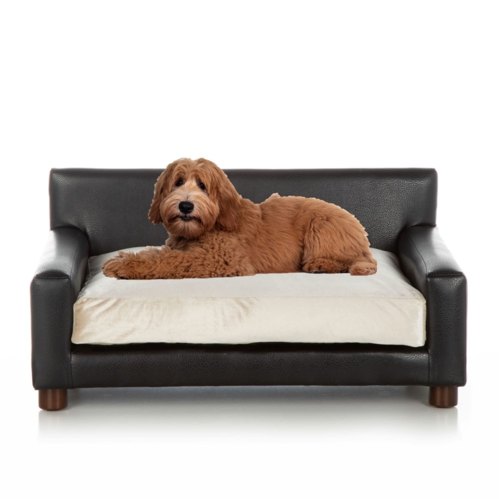 Club Nine Pets Metro Orthopedic Dog Bed for Small Dogs - Supportive & Comfortable Tan Memory Foam Pet Bed - Perfect for Puppies, Senior Dogs & Joint Pain Relief - Ideal for Crates, Living Rooms & Bedrooms